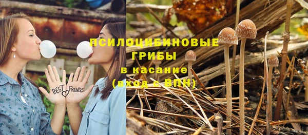 дурь Алексеевка
