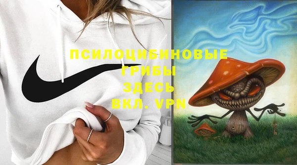 дурь Алексеевка
