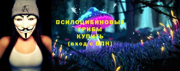 дурь Алексеевка