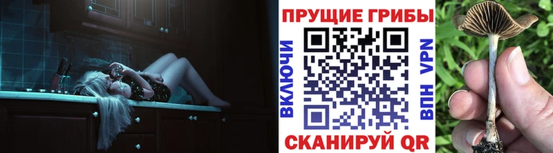 где продают   сайты даркнета какой сайт  Псилоцибиновые грибы GOLDEN TEACHER  Грайворон 